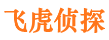 台前外遇调查取证